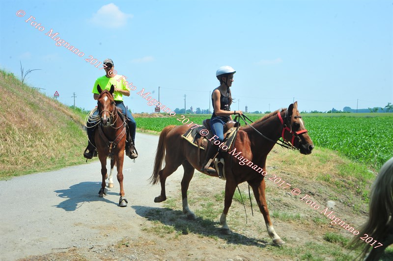 DSC_1073.JPG